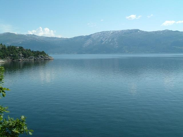 Fjord VI